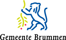 Logo Brummen