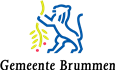 Logo Brummen